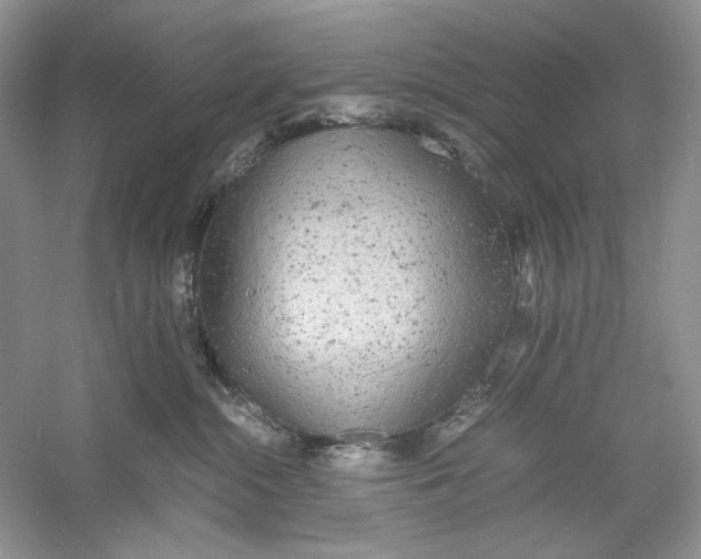 X0000060750284200512011455