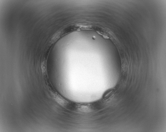 X0000060750285200512011455