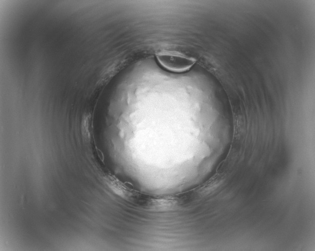 X0000060750286200512011455