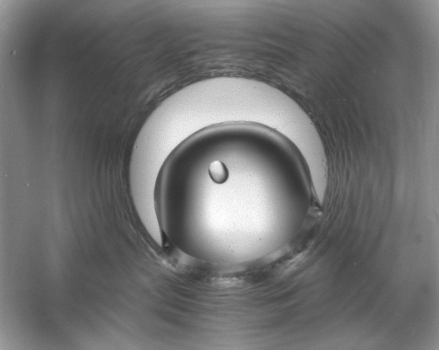 X0000060750287200512011455