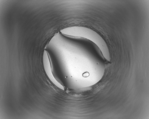 X0000060750288200512011455