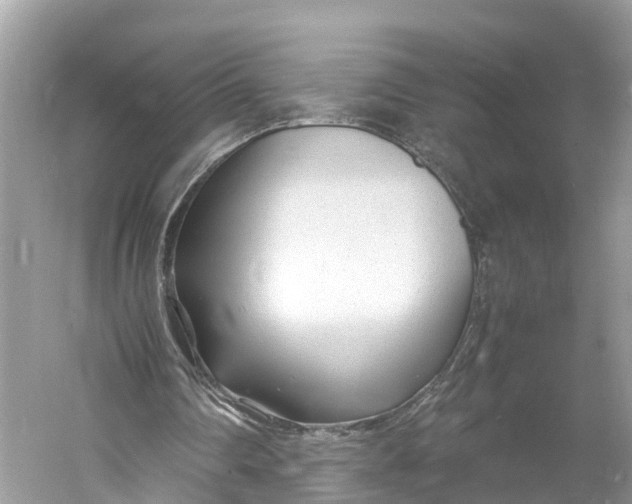 X0000060750290200512011454