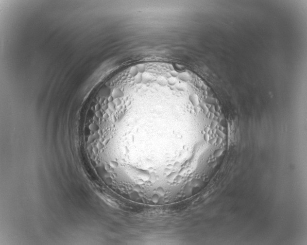 X0000060750291200512011454