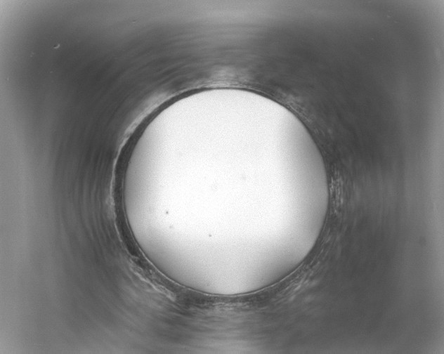 X0000060750292200512011454