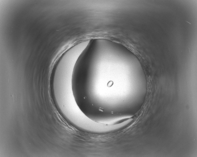 X0000060750293200512011454