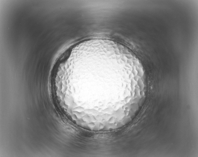 X0000060750294200512011454