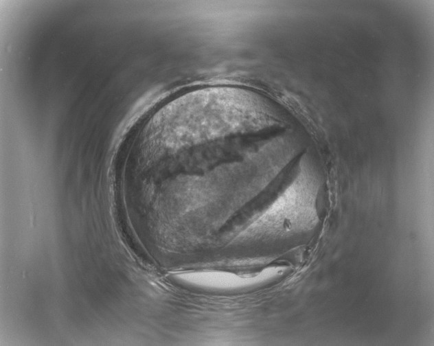 X0000060750295200512011454