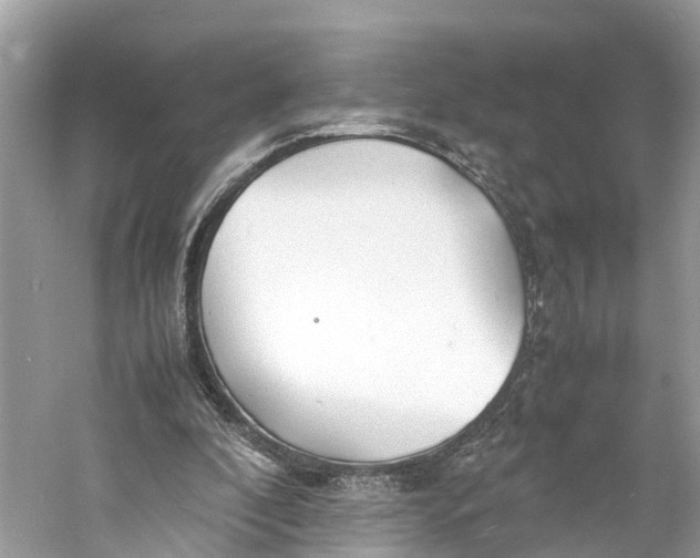 X0000060750296200512011454