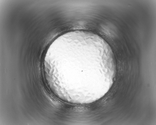 X0000060750298200512011454