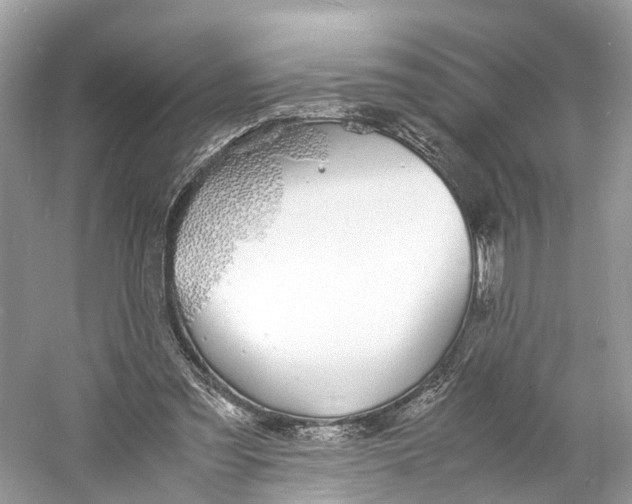 X0000060750301200512011454