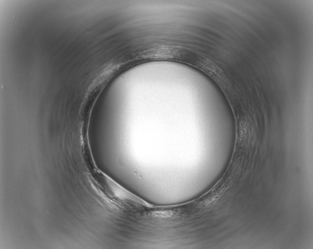 X0000060750302200512011454