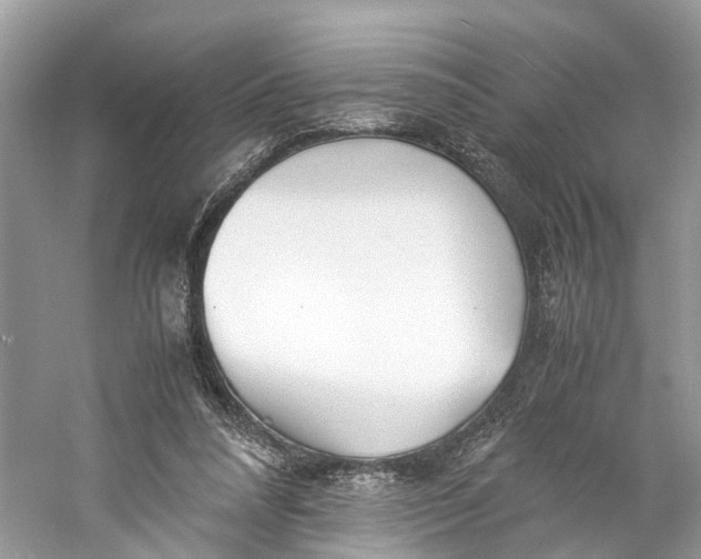 X0000060750304200512011454