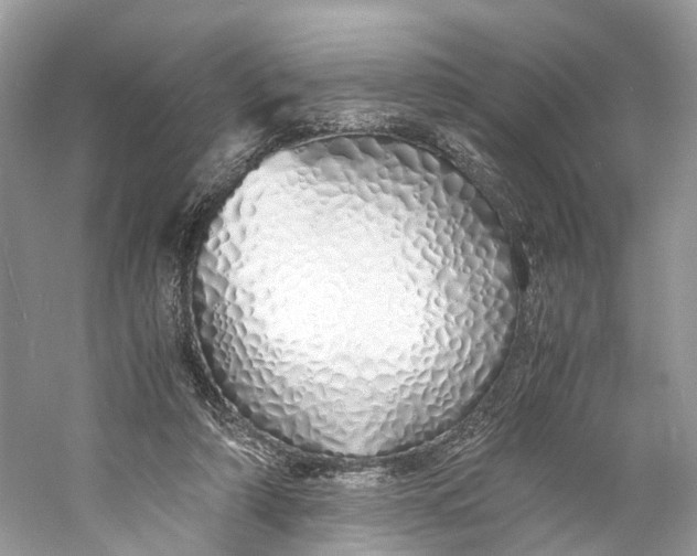 X0000060750306200512011454