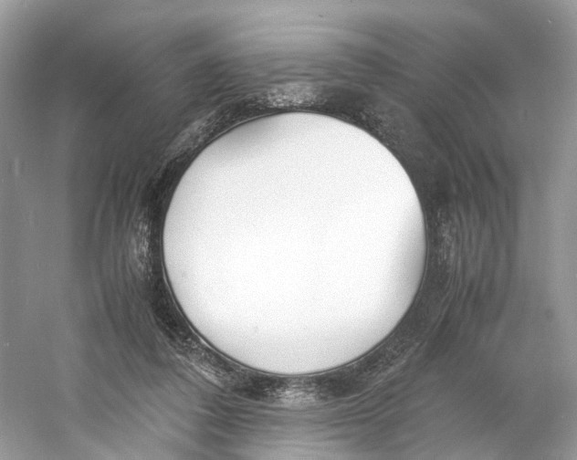 X0000060750308200512011454