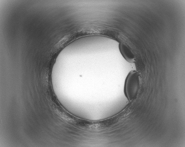 X0000060750309200512011454