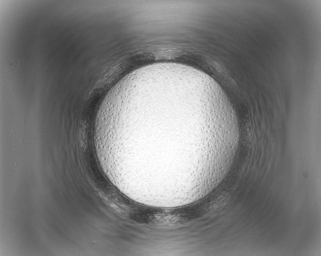 X0000060750311200512011454