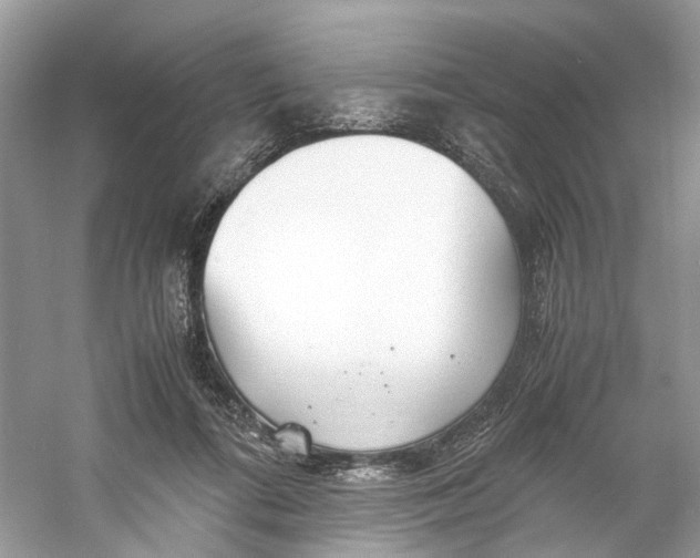 X0000060750312200512011454