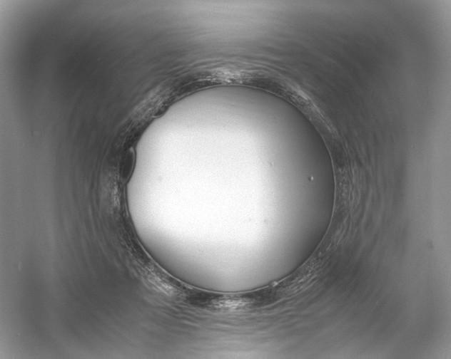 X0000060750313200512011454
