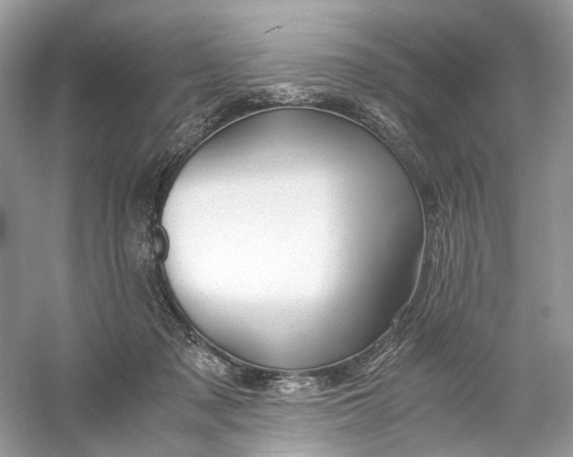 X0000060750317200512011454