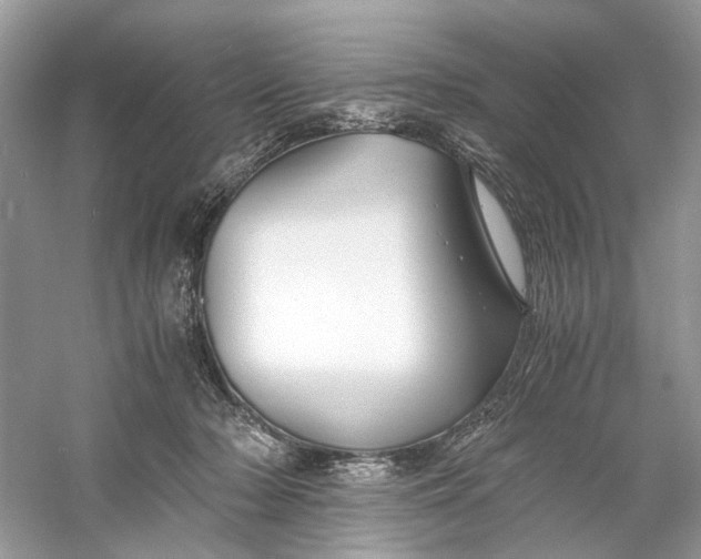 X0000060750318200512011454