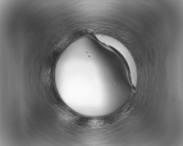 X0000060750319200512011454