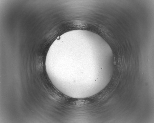 X0000060750320200512011454