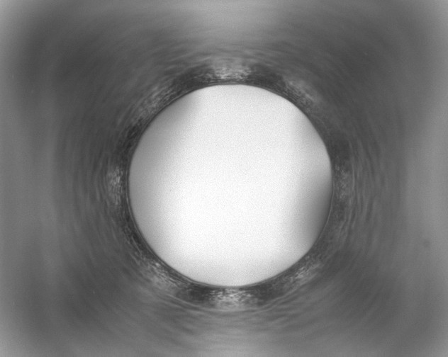 X0000060750321200512011454