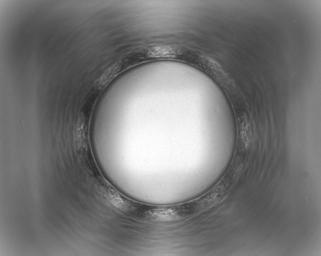 X0000060750322200512011453