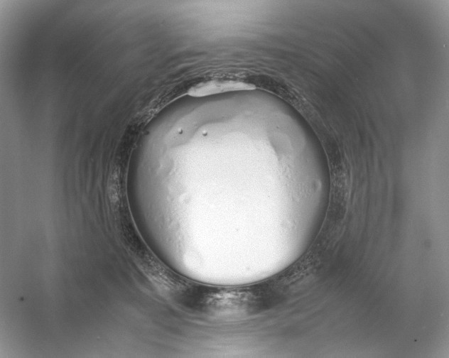 X0000060750323200512011453