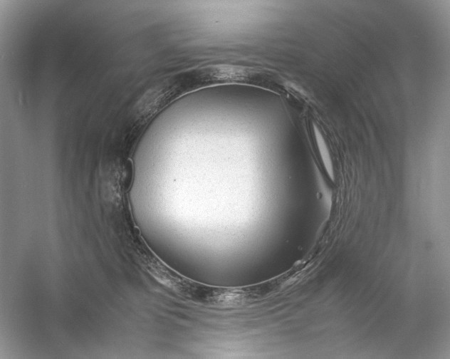 X0000060750325200512011453