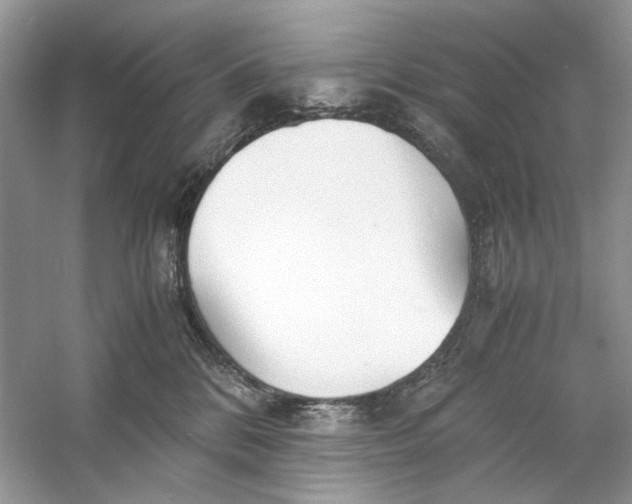 X0000060750328200512011453