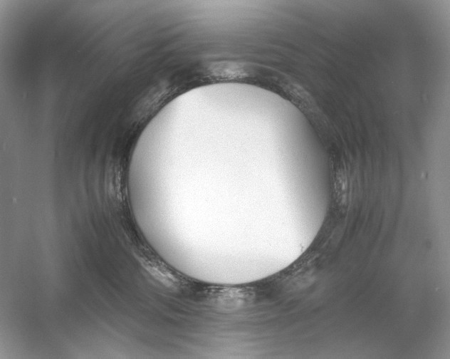 X0000060750330200512011453