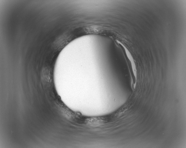 X0000060750331200512011453