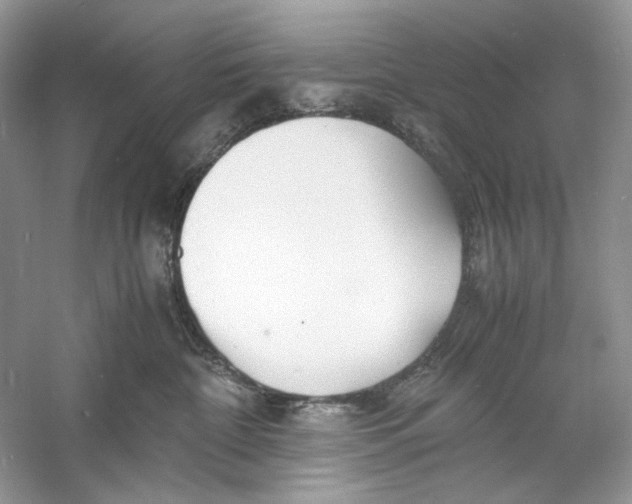 X0000060750332200512011453