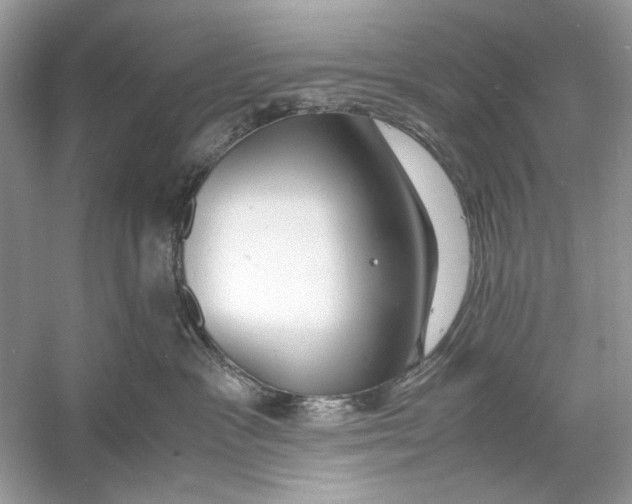 X0000060750333200512011453