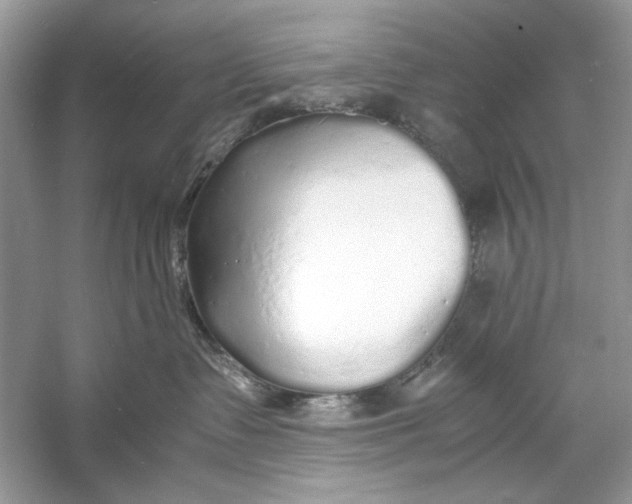 X0000060750335200512011453