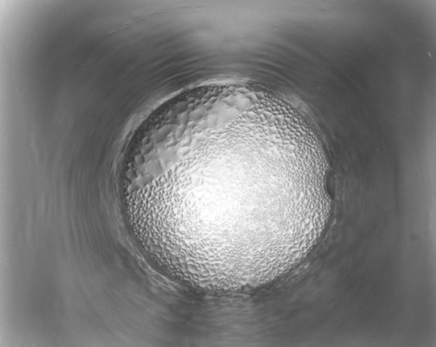 X0000060750337200512011452
