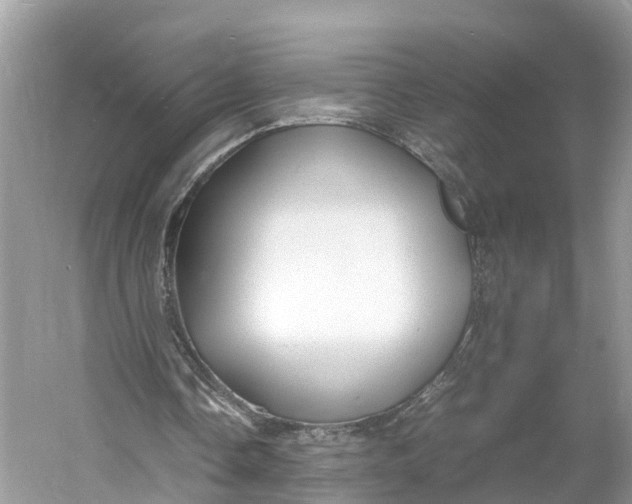 X0000060750338200512011452