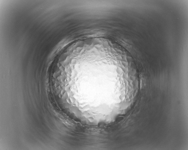 X0000060750339200512011452