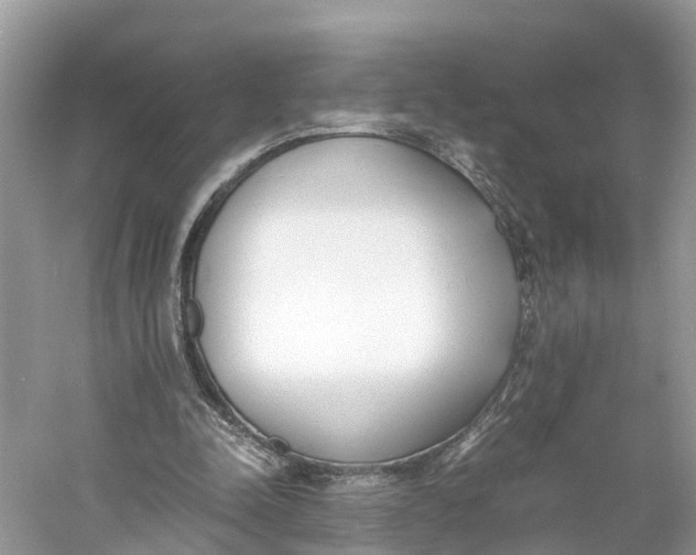 X0000060750342200512011453