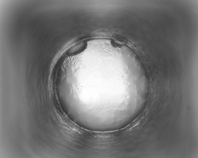 X0000060750343200512011453