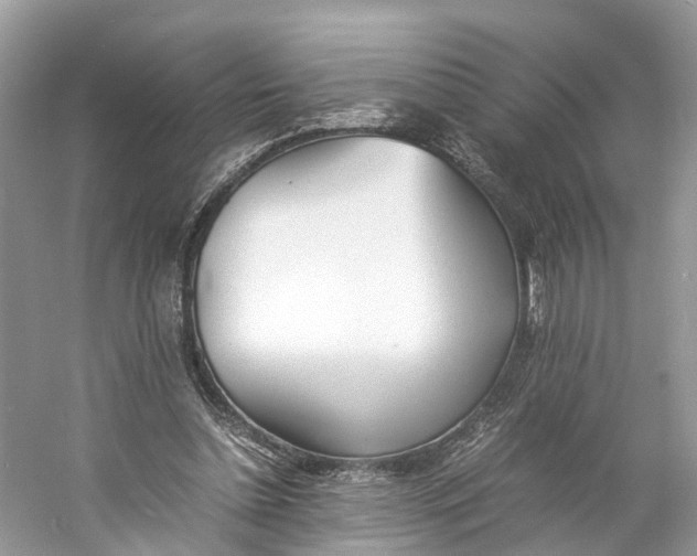 X0000060750348200512011453