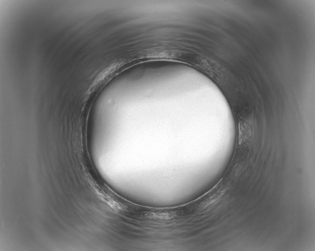 X0000060750349200512011453