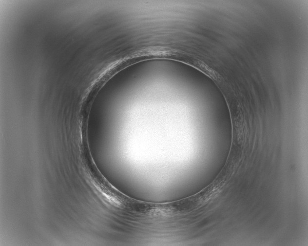 X0000060750350200512011453