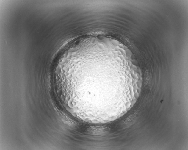 X0000060750351200512011453