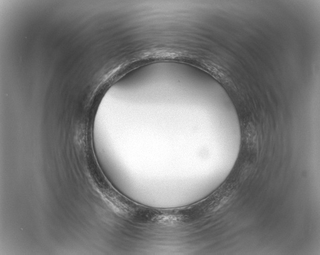 X0000060750352200512011453