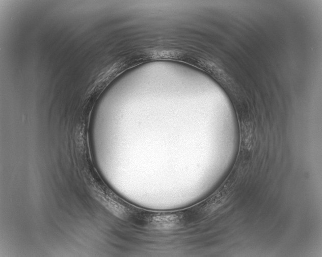 X0000060750357200512011453