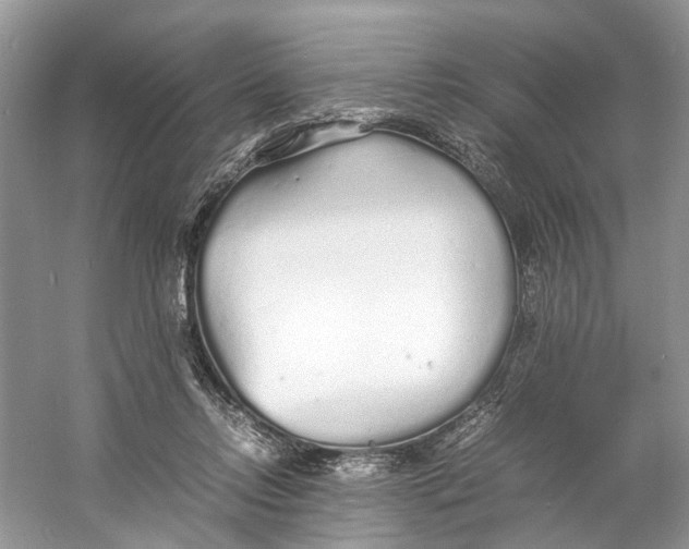 X0000060750358200512011453