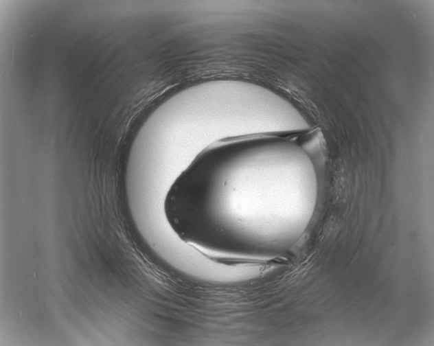 X0000060750359200512011453