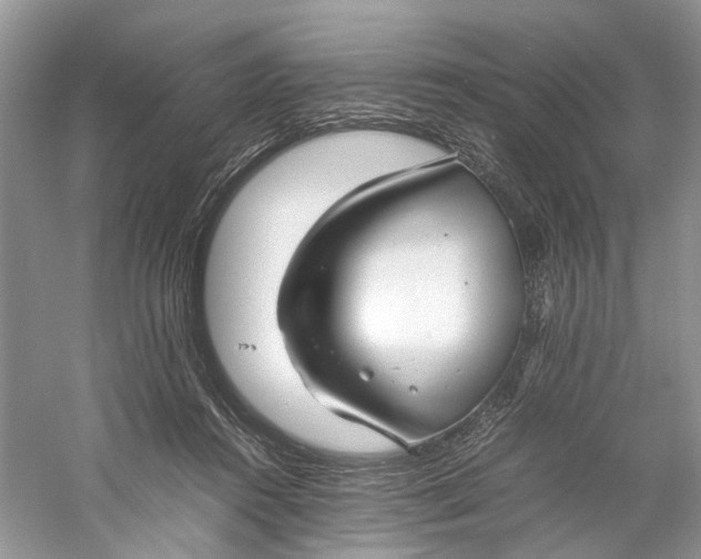 X0000060750360200512011453